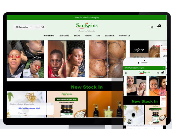 Sankwins | eCommerce Designer in Lagos Nigeria | Timest Web | Best Website Designer in Nigeria