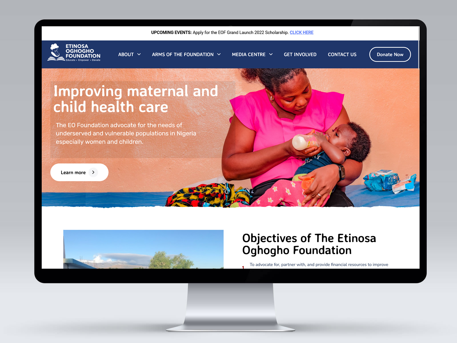 NGO Website Developer in USA | NGO Website Developer in Nigeria